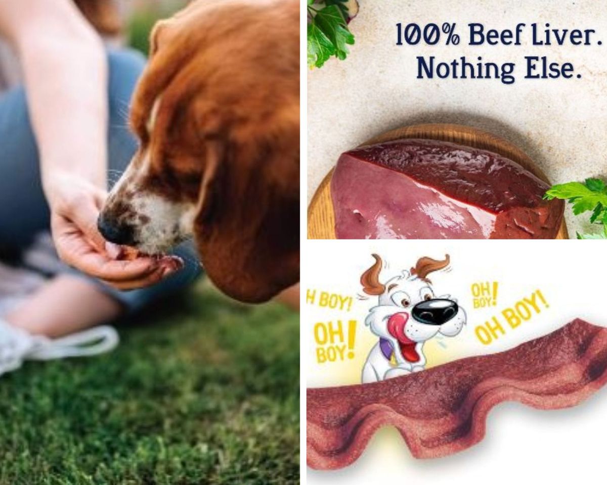 Unlocking Health and Flavor: The Magic of Freeze-Dried Dog Treats