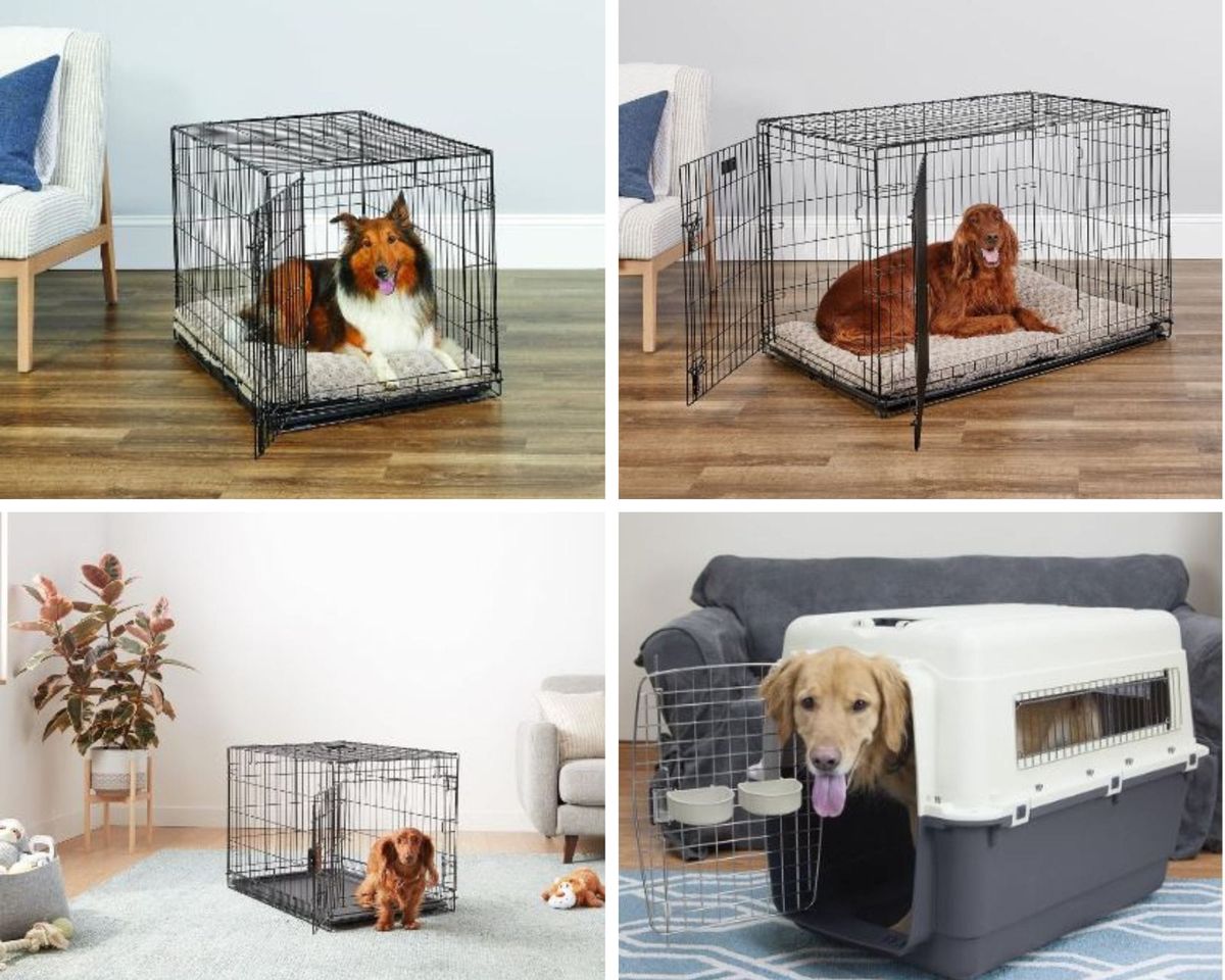 A Dog Crate is an Ideal Solution for Pet Safety and Enrichment!