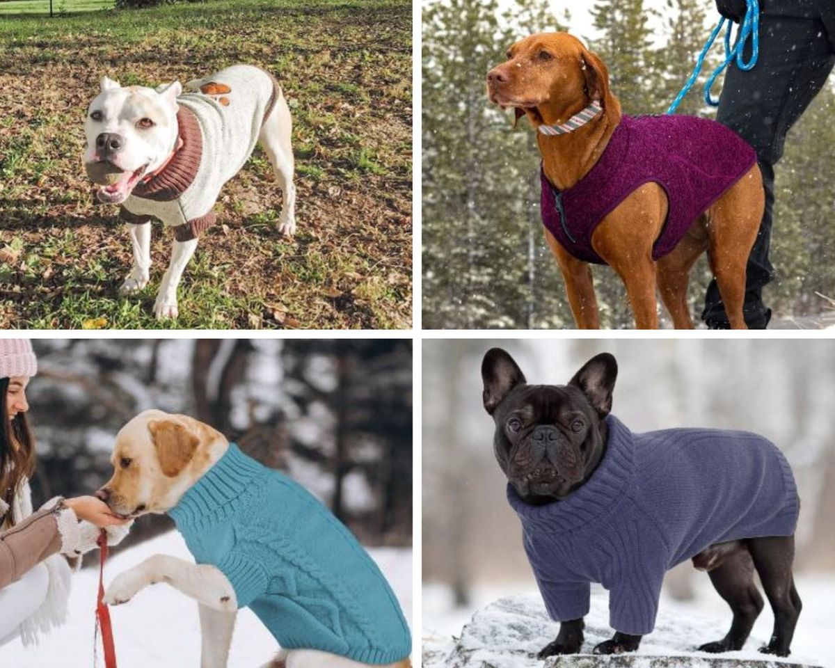 Dog Sweaters: Ultimate Comfort and Warmth Solution for Winter.