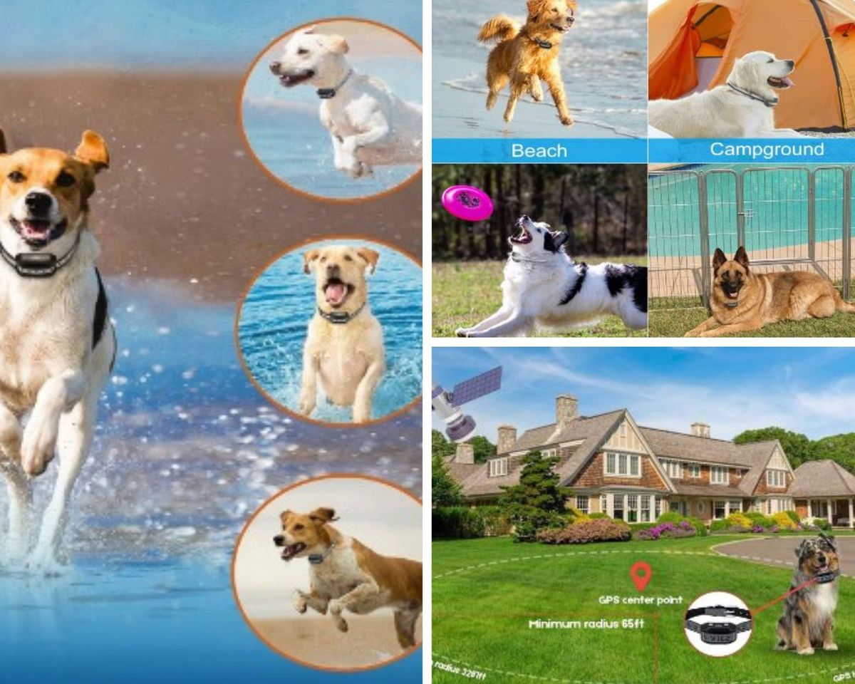 Reliable Canine Boundaries With a GPS Dog Fence and Auto-Correction