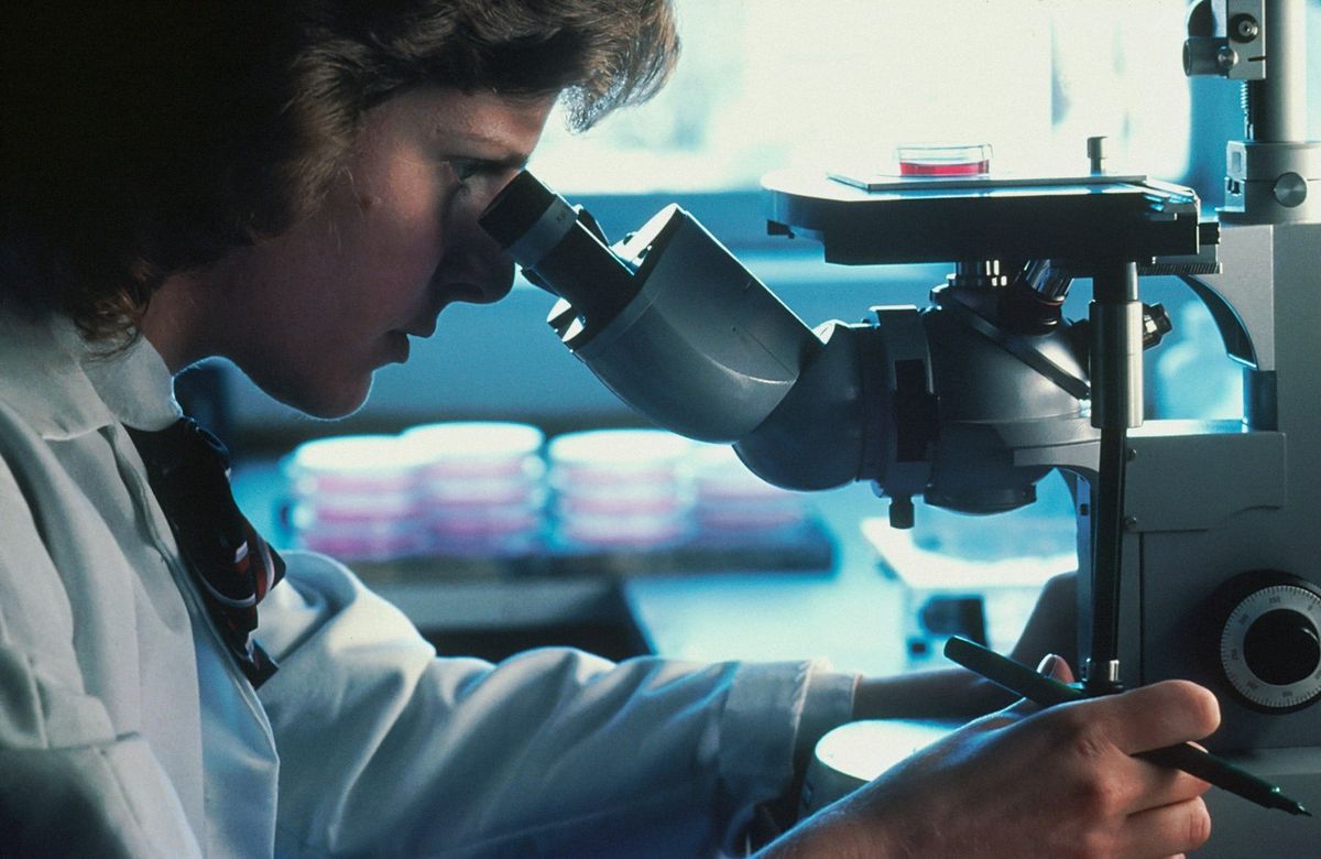 Best Compound Microscope for the Study of Smaller Specimens!