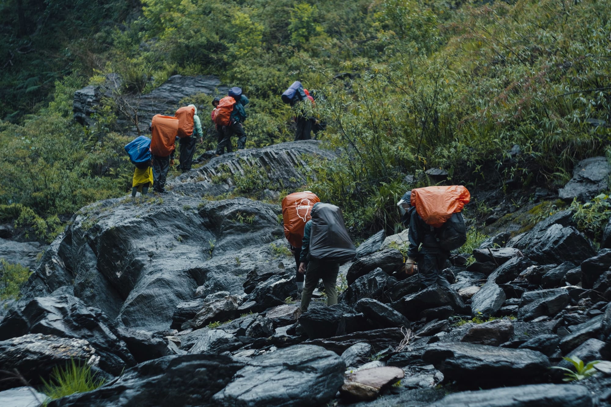 【線下端小聚】山與人的離散和復返：《危殆的山，離散的人》與《複層之森》影像映後座談