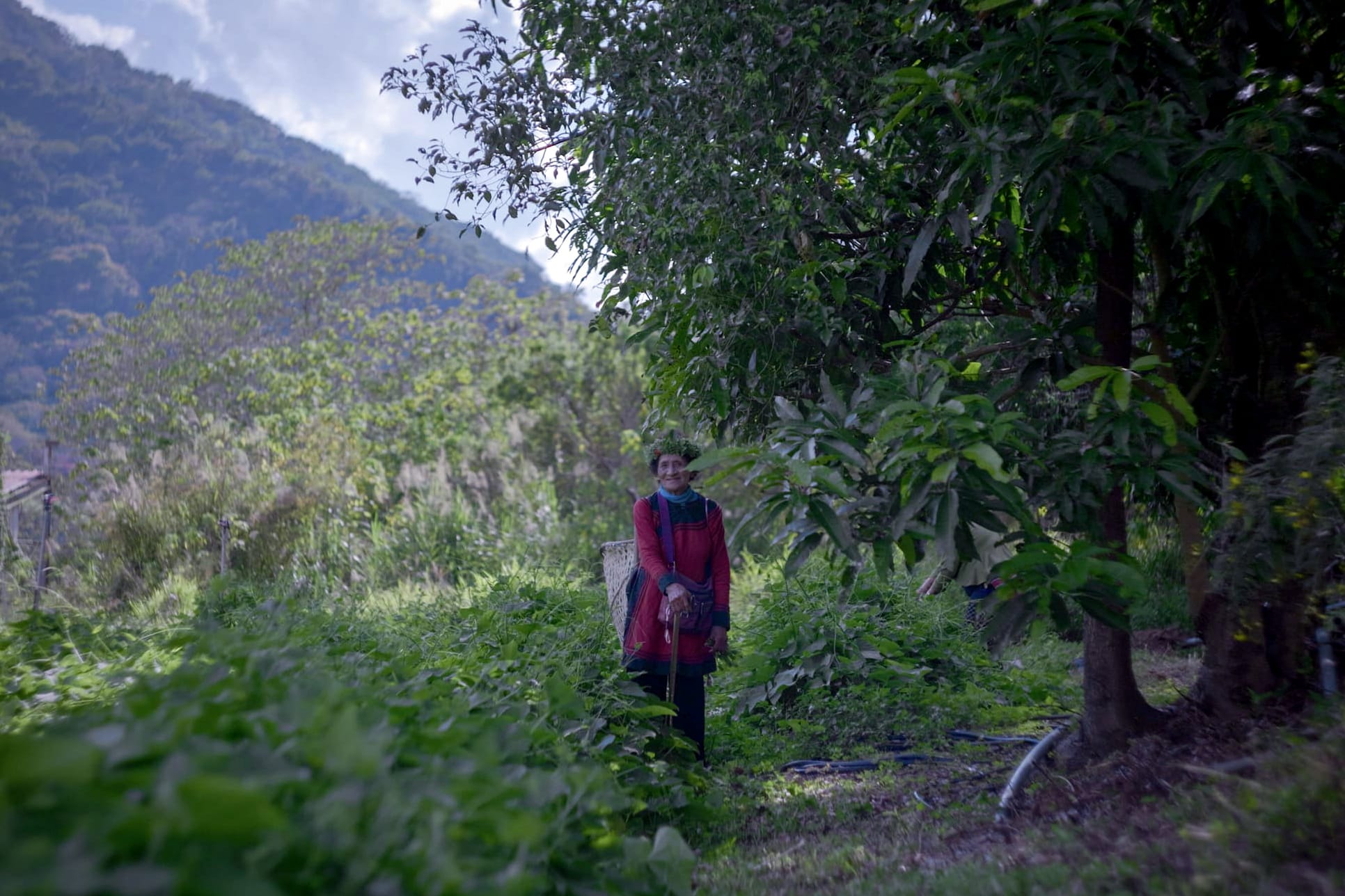 台灣藤枝的布農族人為何回不了家？｜端聞 Podcast