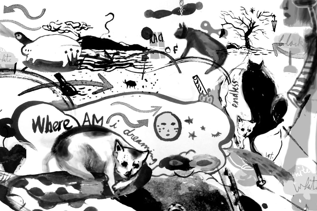 游靜小說連載三：自由毛巾。圖：Wilson Tsang / 端傳媒