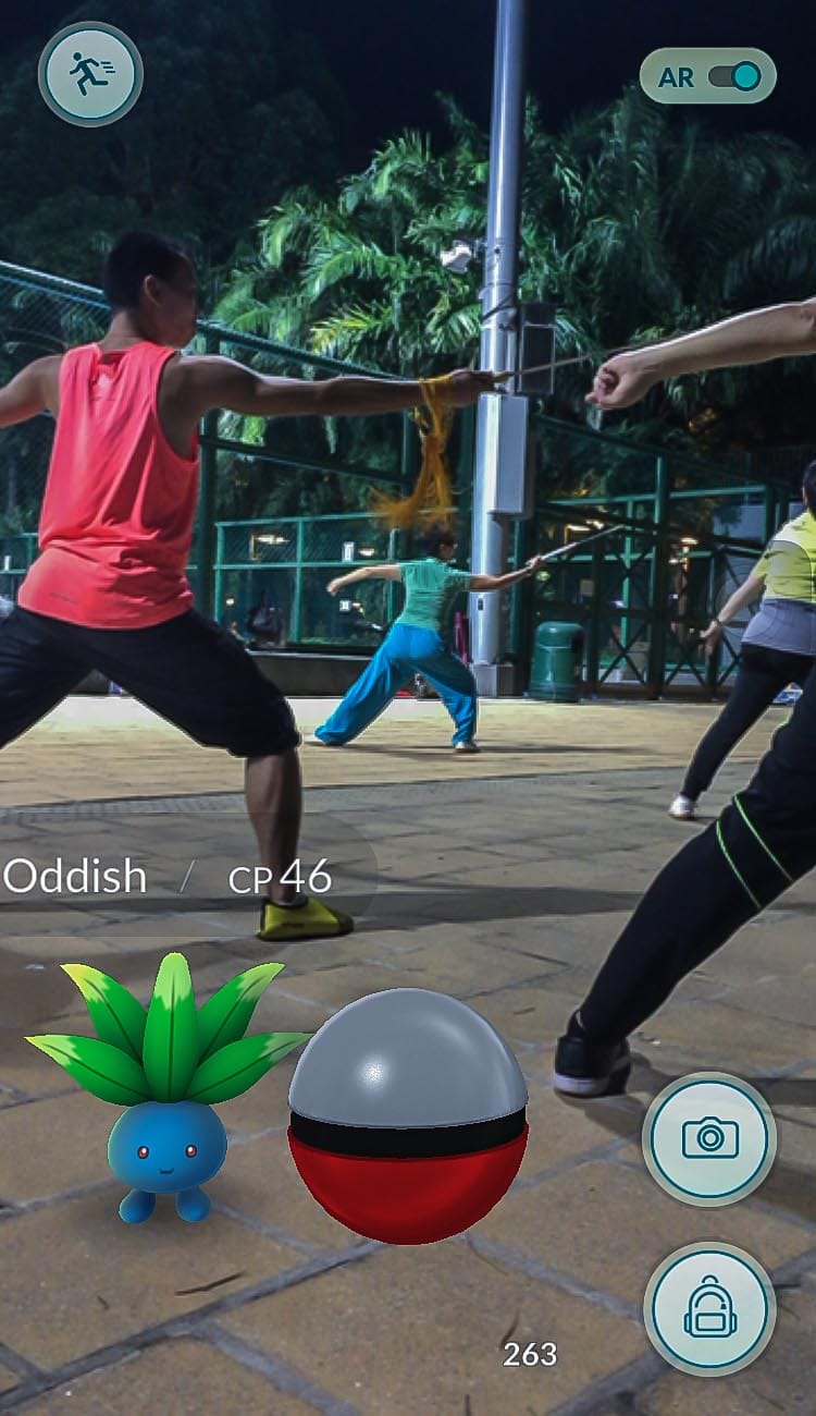  维园，行路草。