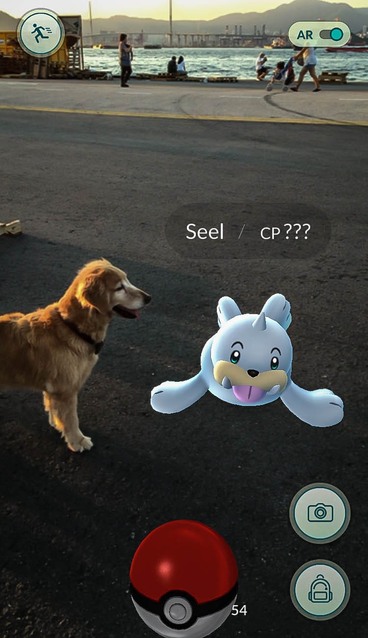 西环，小海狮。