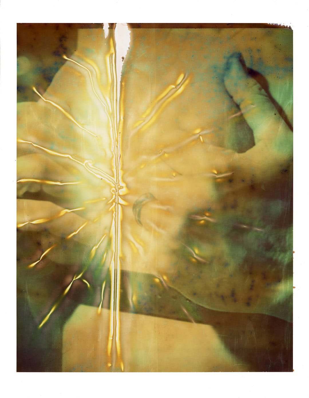 《海洋匹配太陽》系列。