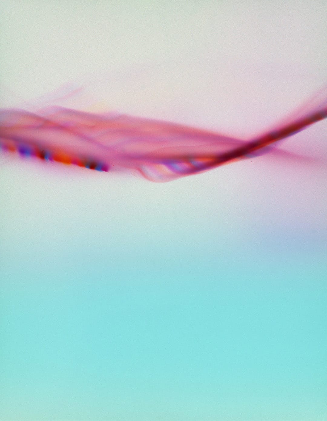 《在某時》系列。