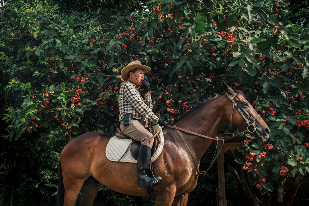 2017年6月23日,十八鄉鄉事委員會主席梁福元,在他的公園中騎著馬,摘下旁邊樹上的蘋果,張口便咬。