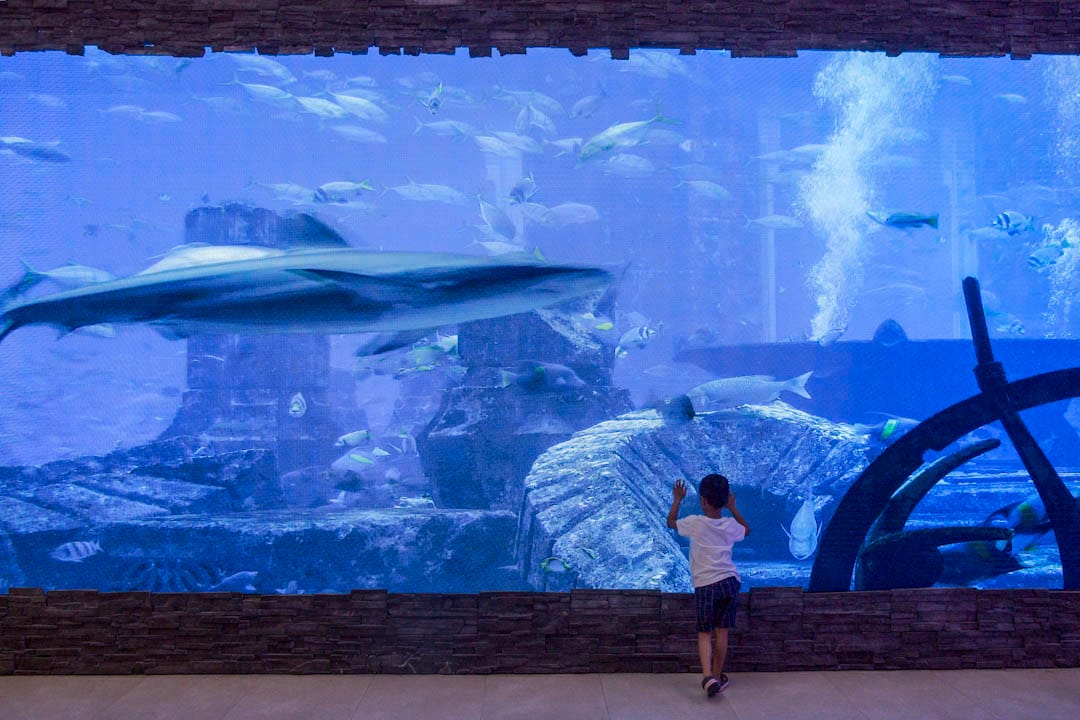 青衣長發街市現外判給建華集團管理，街市內裝置一個巨大的電子螢幕，循環播放著水族箱般的畫面。