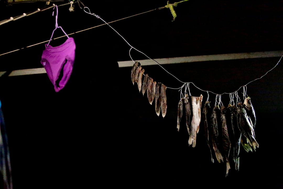 興隆公寓天台上晾曬的衣物和魚乾。張秀芹表示，19日斷電後，超過一半的租戶陸續搬出了公寓。截止11月27日夜間，仍有30余戶繼續在此居住。「一些人回老家去了，特別是帶著孩子的，冬天沒電太不方便。但也有帶娃的留下，有家人的嬰兒四五個月大」，張秀芹用手比劃了一下嬰孩的大小，「有人想過要搬去村北的房子，但同樣大小房間的租金要1000塊，還是我們這邊更低。