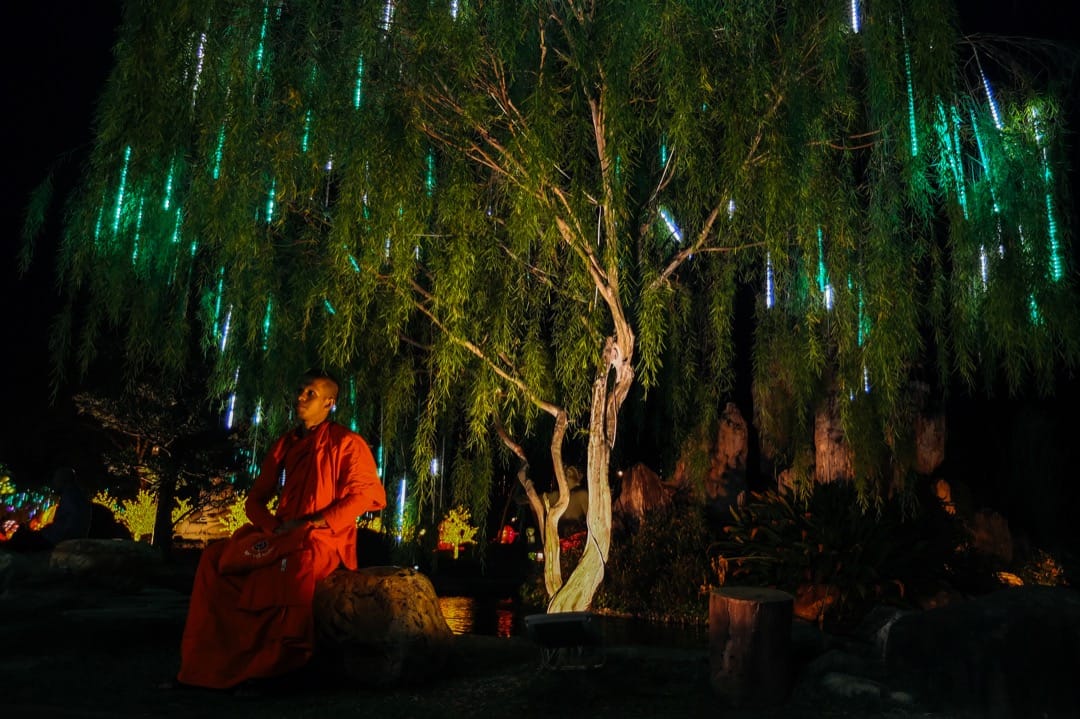 2018年2月14日,马来西亚首都吉隆坡,一名华籍僧侣坐在佛光山东禅寺的花园里,花园都挂满了新年装饰,准备迎接两日后的农历新年。