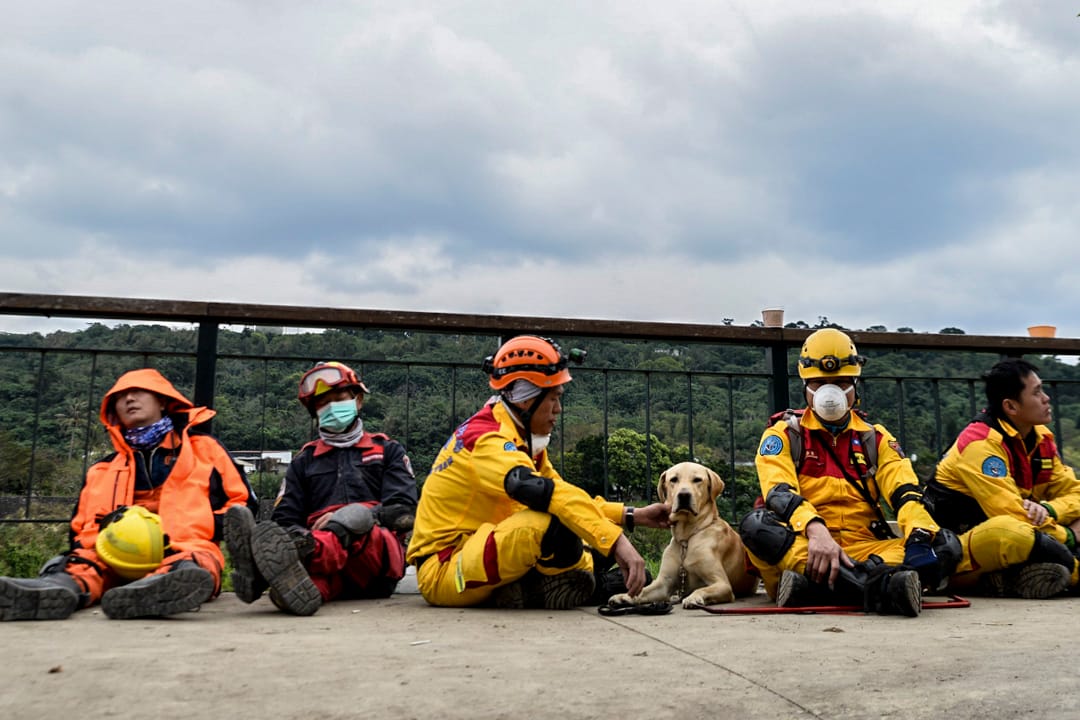 下午一時，雲翠大樓，一旁待命的救災人員和救災狗。