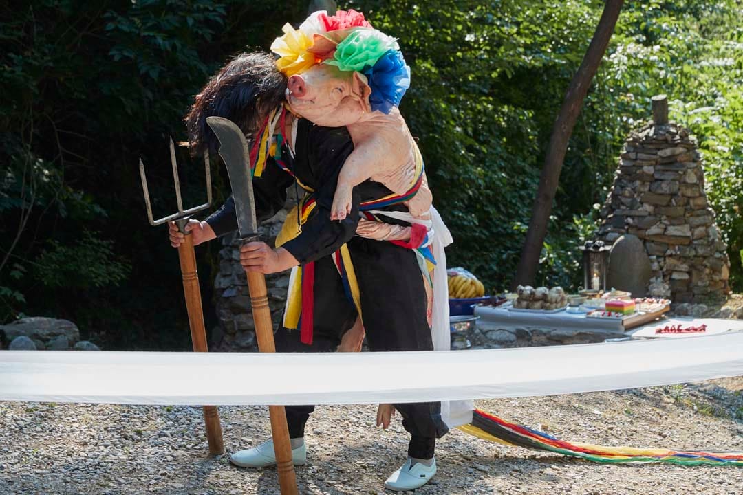 韩国堤川市，一名萨满巫师的男门徒正在仪式中表演。一般萨满巫师都会收取门徒，而门徒数量取决于法巫师的知名度和能力。门徒会尊称巫师为神圣的母亲和对她们绝对服从。