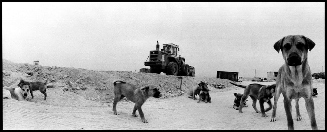 《西九龙填海区》。