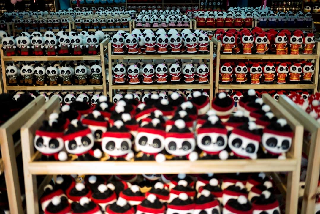 都江堰旅遊景區「白果巷」，被稱為世界第一個以熊貓為主題的旅遊街巷。十年前，新建小學原址便位於「白果巷」，地震中小學粉碎性倒塌，造成至少246位師生遇難，許多遇難學生家長多年維權，要求查清新建小學是否為豆腐渣工程。