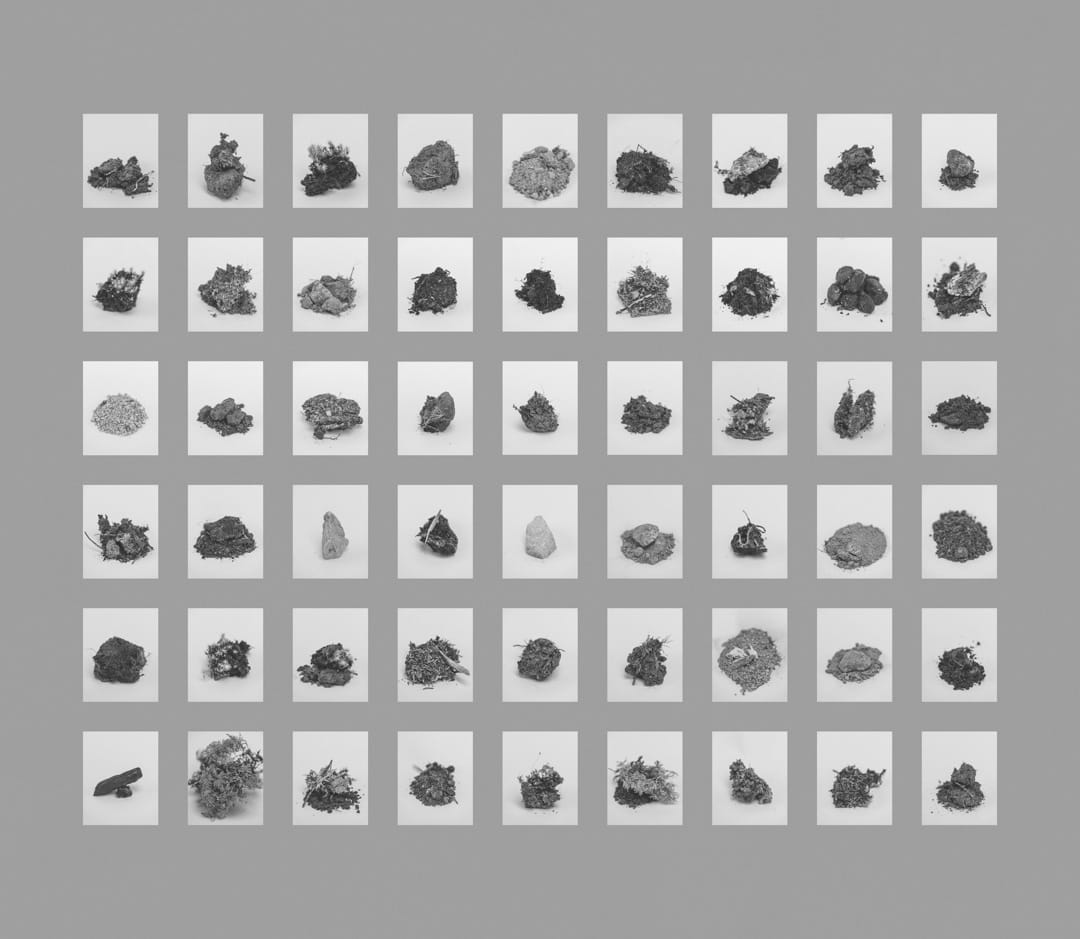 「了解100公頃」(100 hectares of Understanding)系列-54 Grams of Soil From 54 Different Solutions,2017
