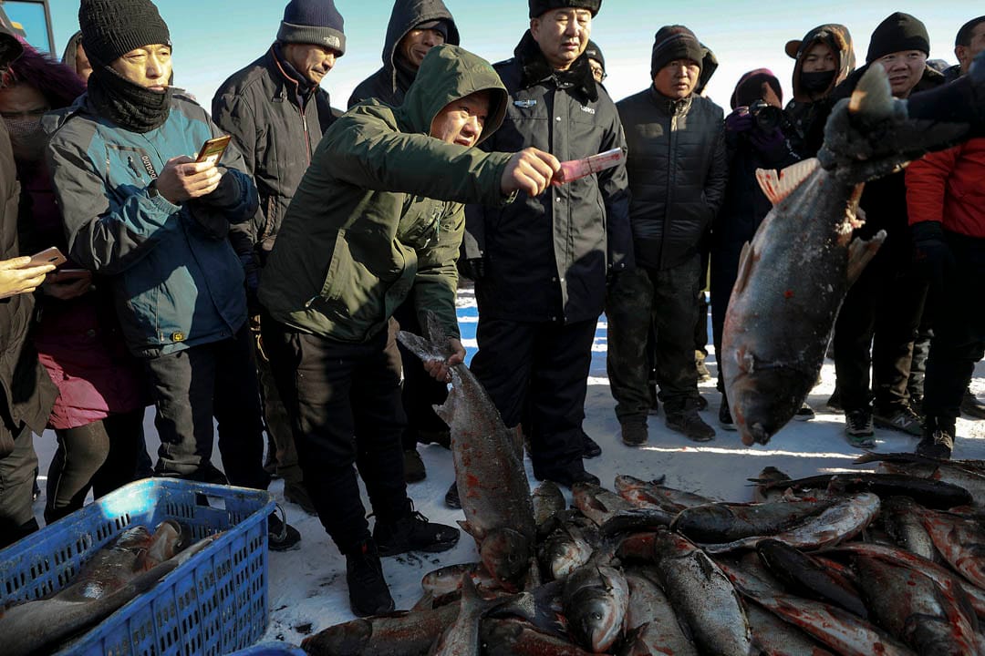众多市民赶到冬捕现场购买活鱼。