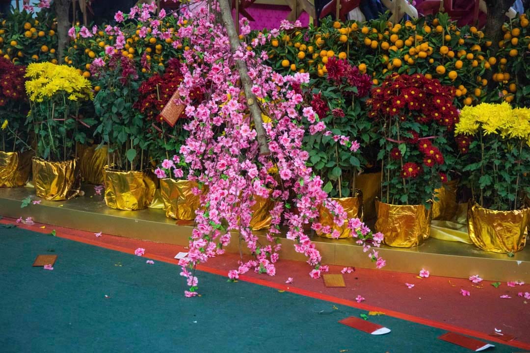 大年初三，马场上一个桃花阵有一棵倒下的桃花树。