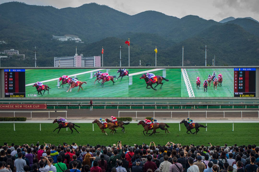 大年初三，市民入场观赏贺岁马。