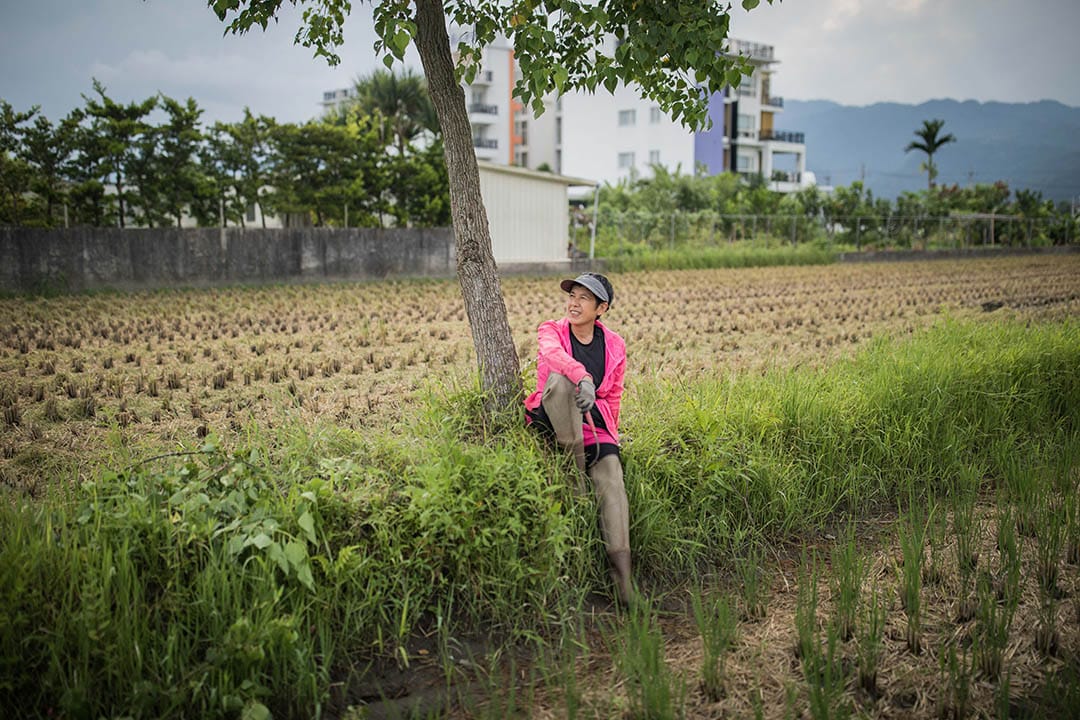 寇延丁在她的農田上。 