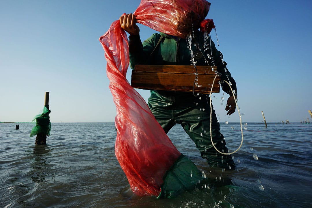 2018得獎作品《我二十年的鄰居--六輕營運二十年》我的鄰居「六輕」，搬來濁水溪口已經超過二十年了，它是全世界單一最大的石化園區，數百種化學製程，煙囪日以繼夜吞吐不休。六輕營運後的這些年， 每當結束微酸、微醺、微臭的夏季後，台灣東北季風的季節，濁水溪南岸則進入了獨特的沙塵地理景觀，宛如末世，那雲霧裊裊的沙塵山水猶若化外仙境。