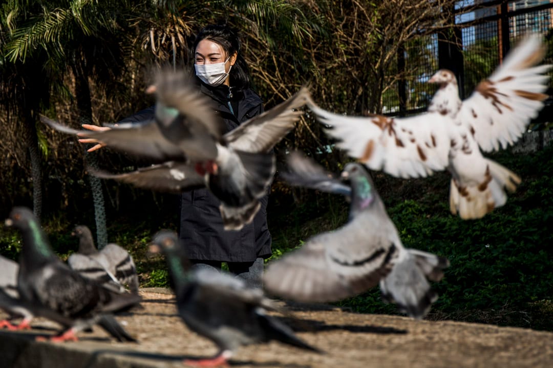 2020年1月28日，疫情爆发初期，自中国卫健委高级别专家组组长钟南山宣布新型冠状病毒可以人传人后，疫症尤如风暴一般爆发。中国各地开始公布确诊数字，其后接踵而来的封城、医护受感染、死亡案例，一切都来得如此快。其后香港于1月23日传出首宗确诊个案，市民纷纷都戴上口罩。