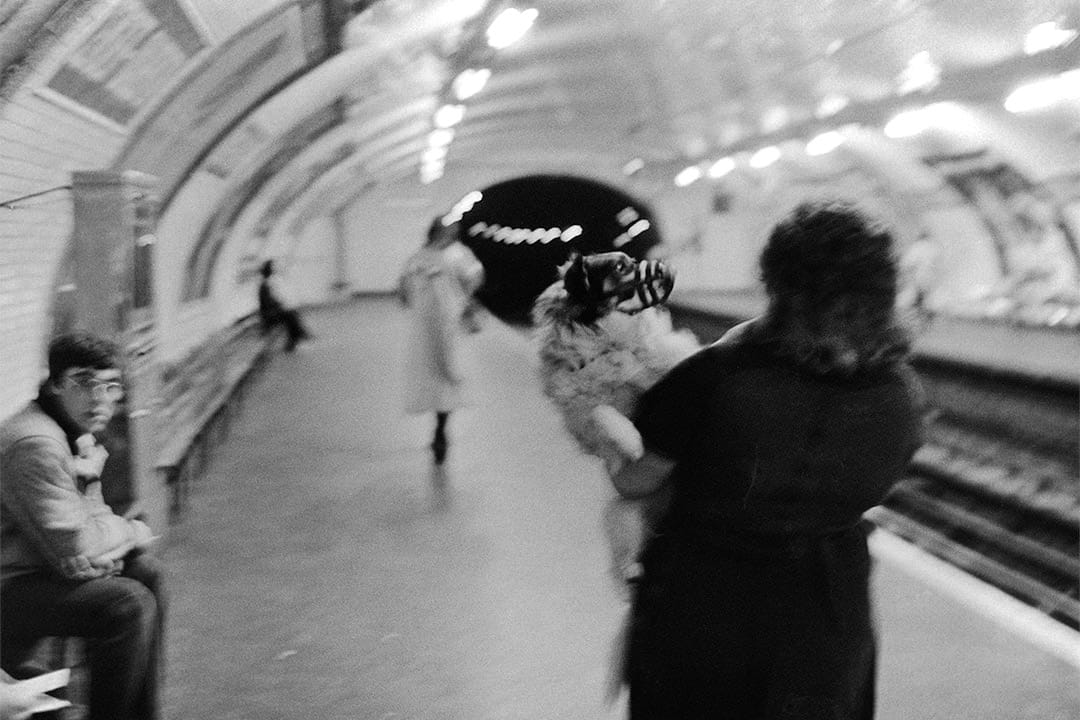 巴黎地鐵婦女與狗II(1976-1980)。