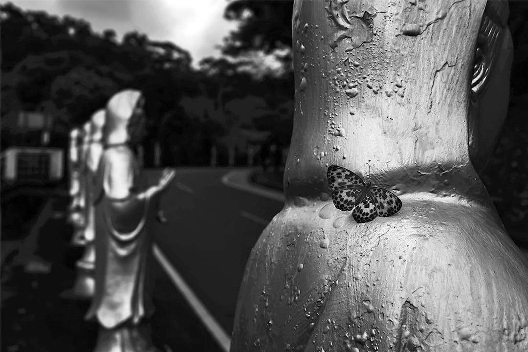 2020年4月2日台灣清明節年假，由於疫情關係，政府呼籲民眾減少群聚，台北富德公墓人流較去年減少，一隻蝴蝶飛降在一個神像上。