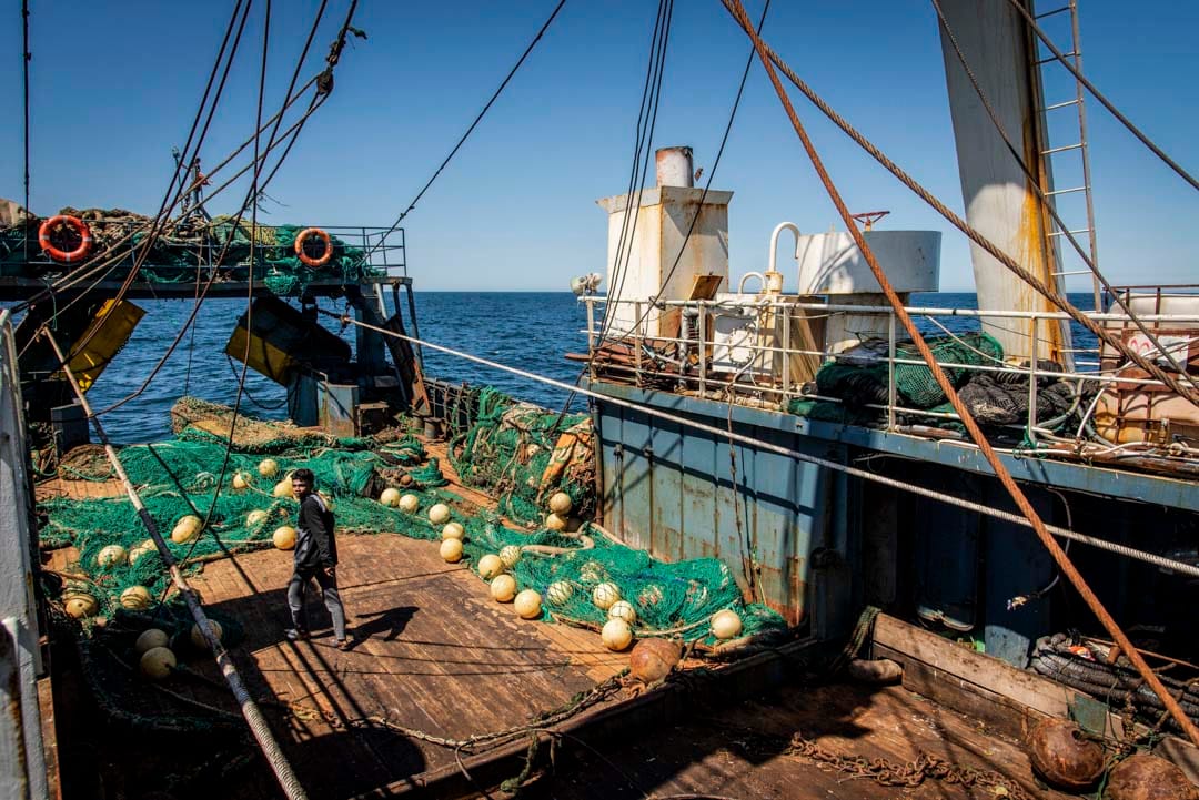 海底的淤泥被渔网拖上船，深陷在甲板的空隙里。