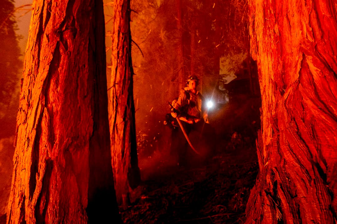 2020年9月7日，加州一场山林大火，消防员正努力扑救。