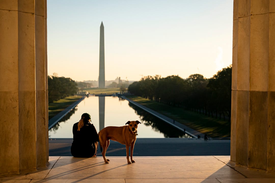 2020年11月4日華盛頓，一名婦女和她的狗在林肯紀念堂的台階上。