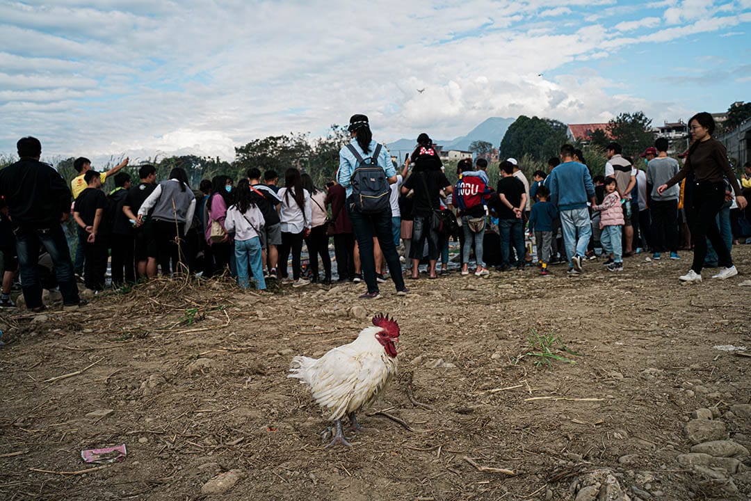 清醮期間,埔里鎮上不得殺生。