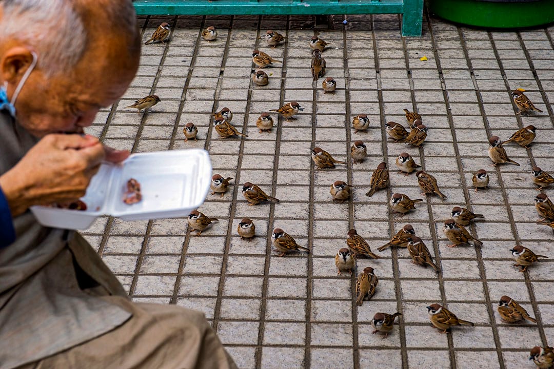 2021年1月22日油麻地，市民在公园内吃饭。