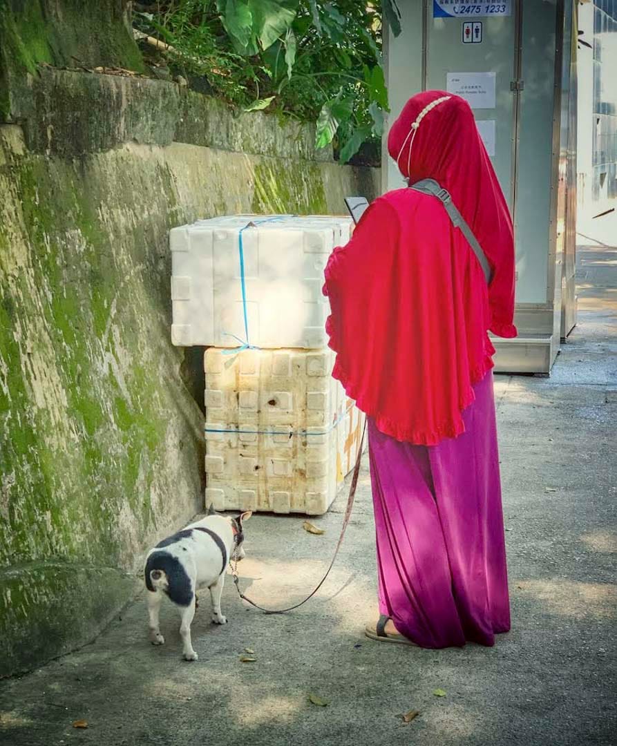 《差异》Difference,在香港,很多人把宠物当成自己的孩子。他们会担心自己的宠物受伤或生病,就跟他们总是为自己的孩子担忧一样。