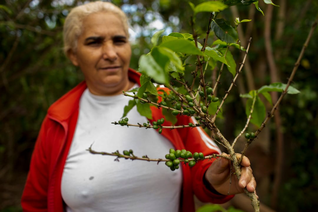 Eva是格雷泽罗人(Geraizeiro),她在自己的土地上种蔬菜粮食,比起搬去城市生活,她认为自给自足的传统生活更为可行。