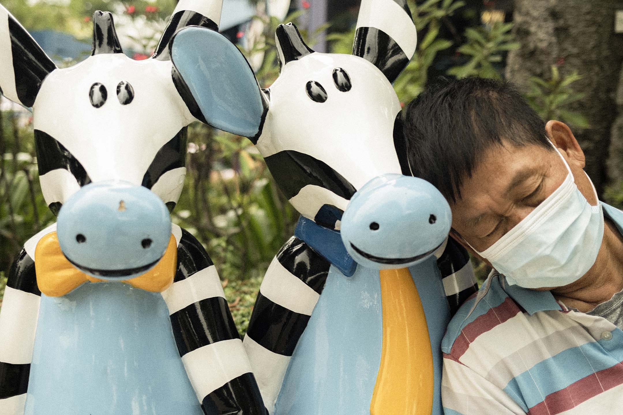 2021年4月18日,遊人在斑馬擺設旁睡覺。