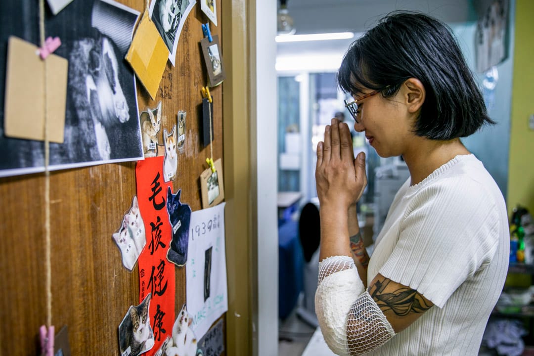 前西贡离岛选区区议员陈嘉琳。