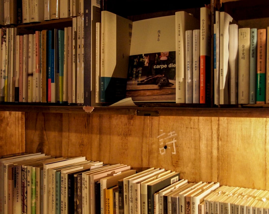 雄太及実希在感到人生艱難時，都被詩拯救過。在庭文庫各個角落裡，都能找到詩的蹤影。