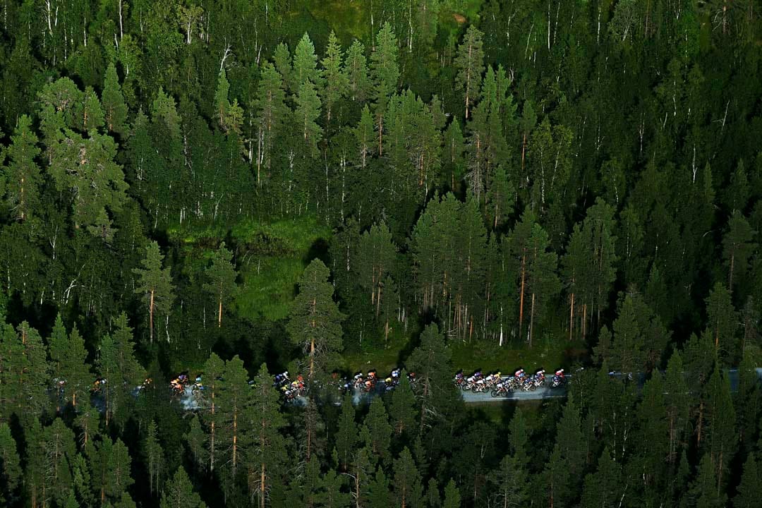 2021年8月7日，挪威Malselv举行第八届挪威北极单车赛，主车群在森林中的公路前进。