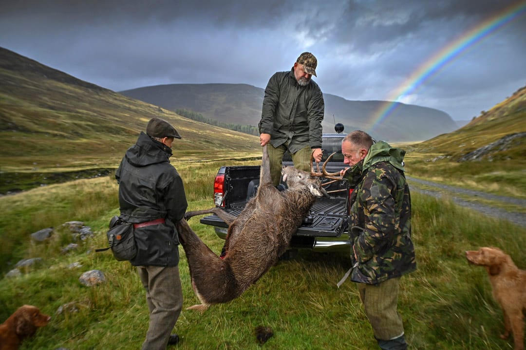 2021年10月18日，英国苏格兰三名猎人将狩猎到的雄鹿运到货车上，当时为休闲猎鹿季节的尾声。