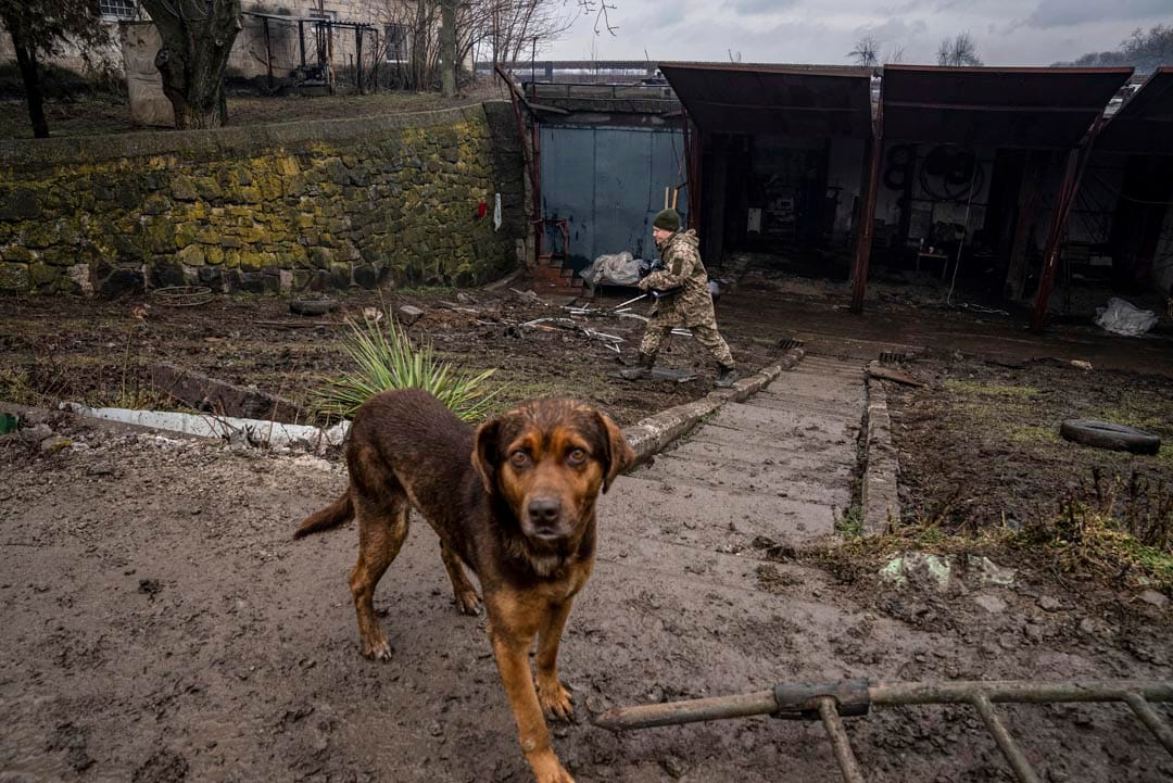 2022年2月24日,俄羅斯在烏克蘭馬里烏波爾發動明顯襲擊後,一隻狗站在防空基地,一名烏克蘭士兵在後方經過。