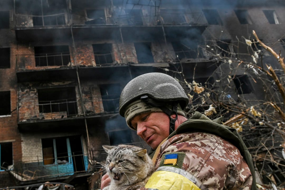 2022年3月1日，乌克兰首都基辅南部城镇瓦西里基夫（Vasylkiv），一名士兵在一座被炮击炸毁的住宅前抱起一直流浪猫。
