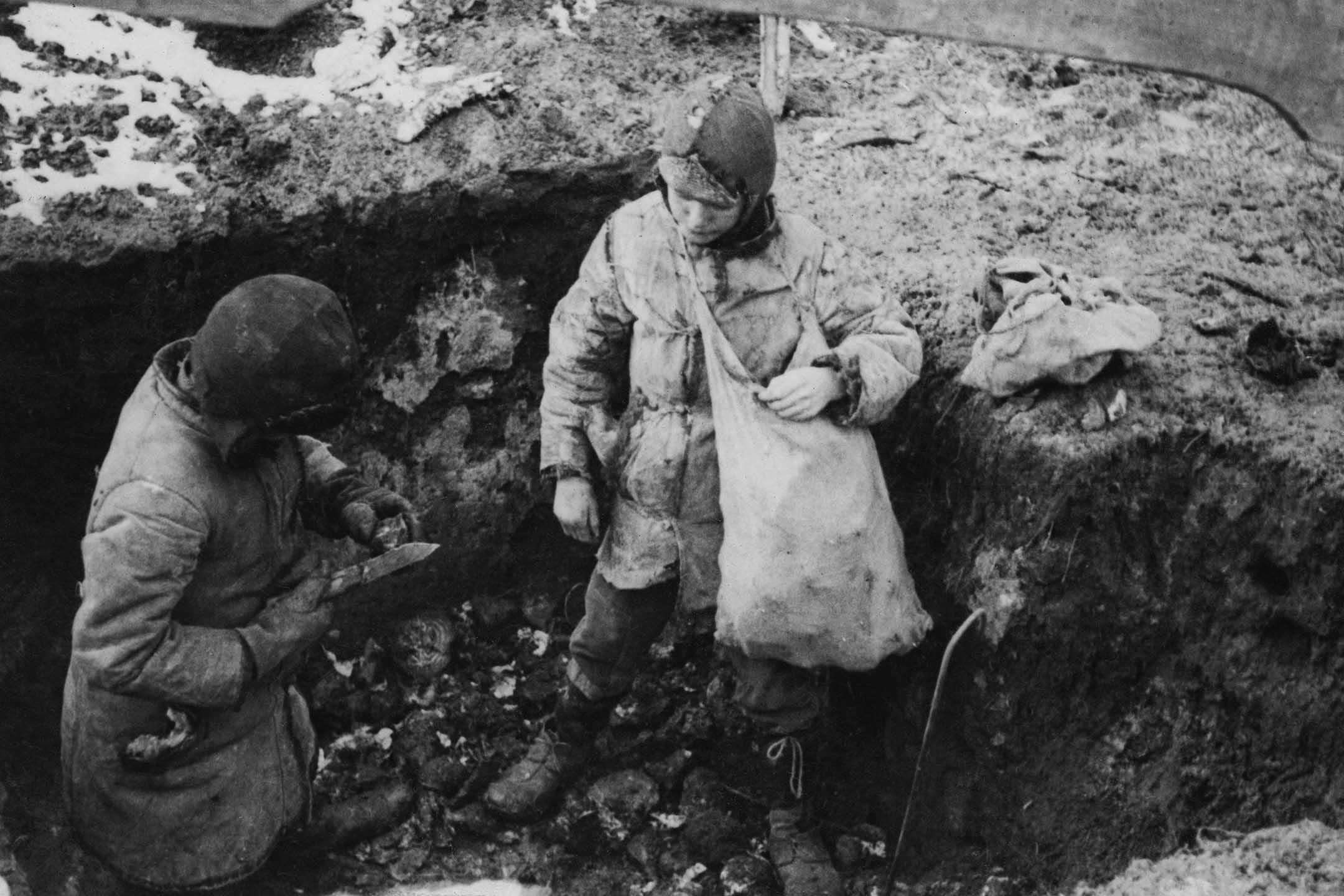 1934年春天,乌克兰大饥荒期间,两个男孩发现一堆土豆。