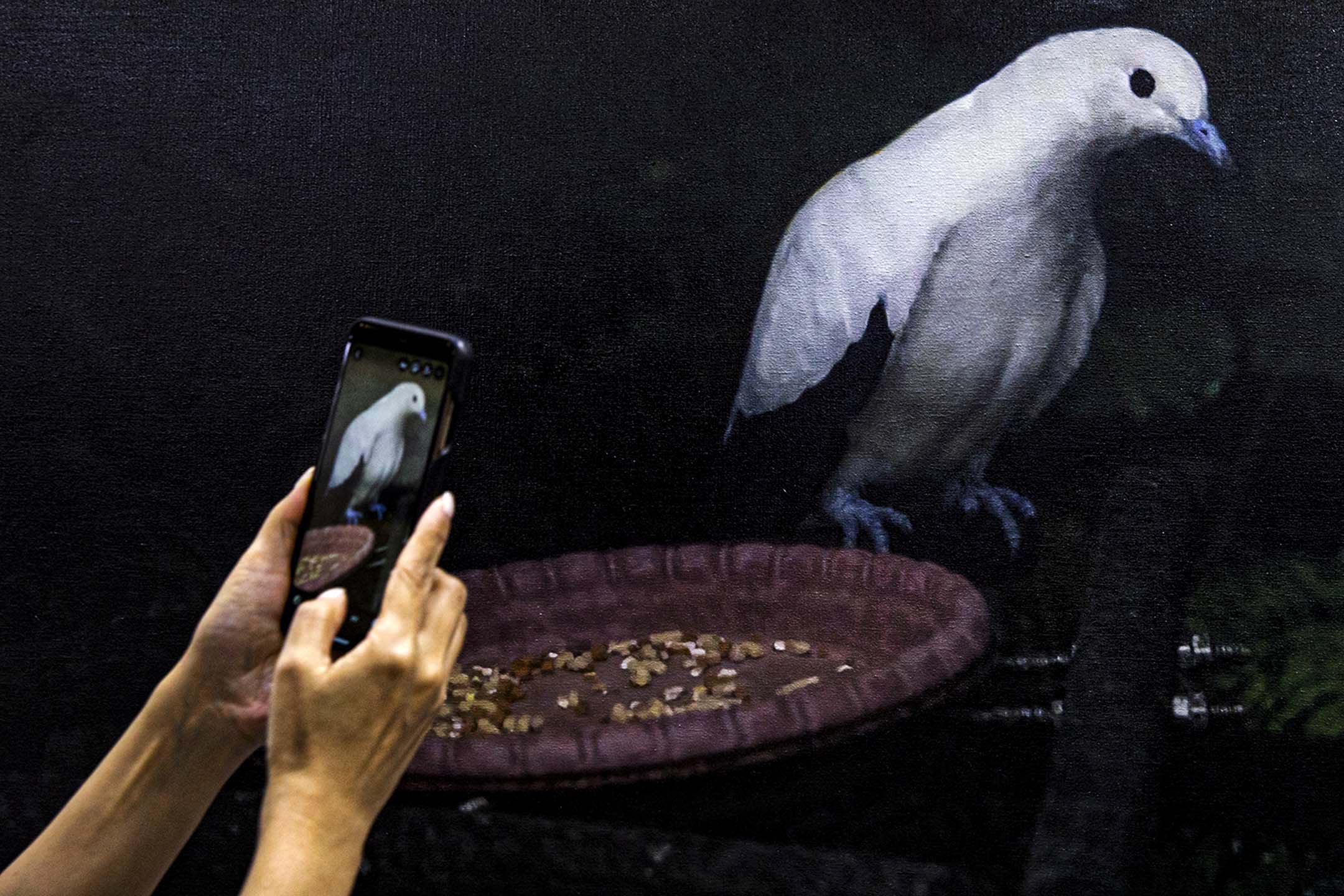 2022年5月21日，台北當代藝術博覽會，市民拍攝藝術品。