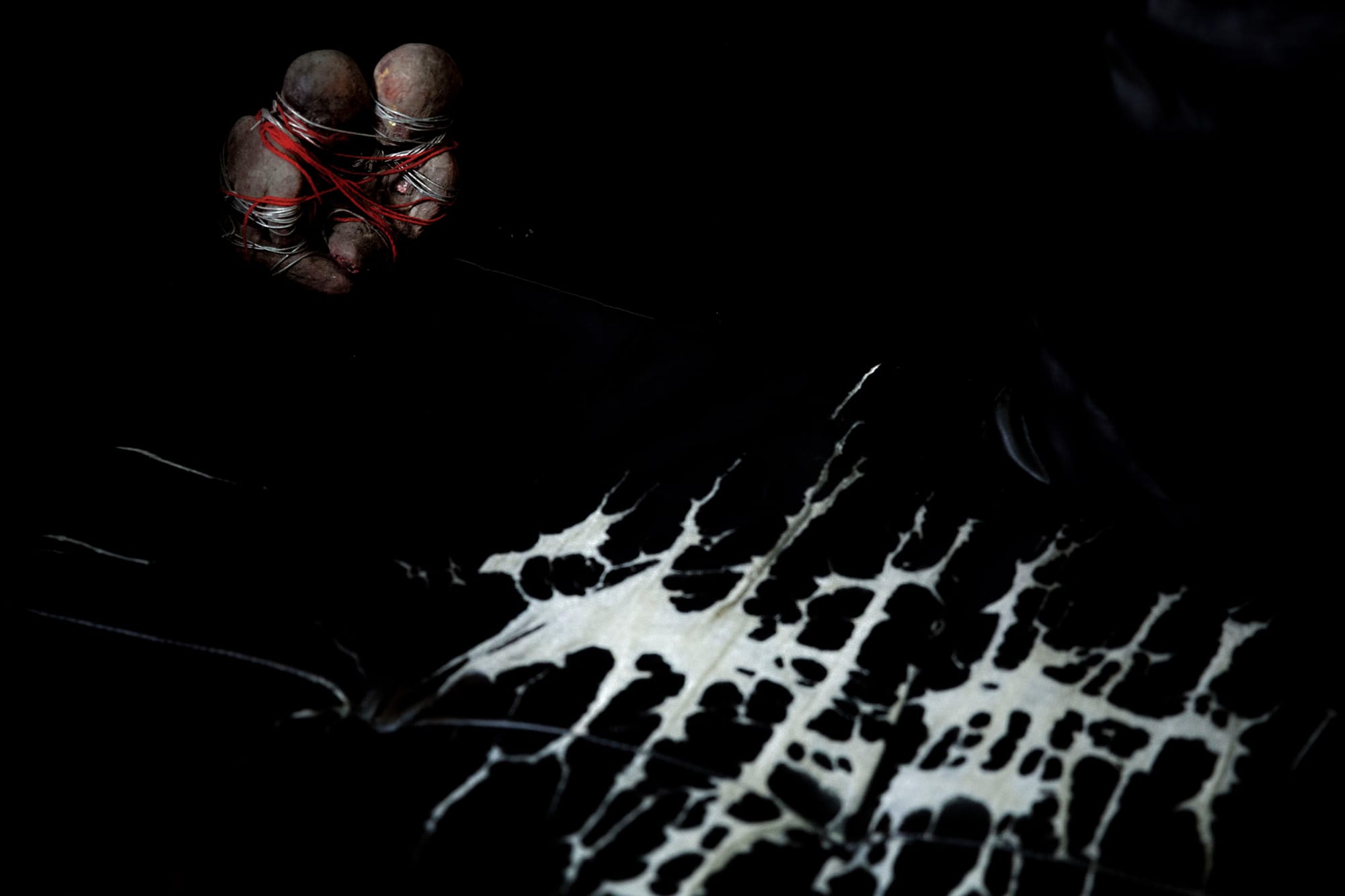 《咒》拍攝道具。