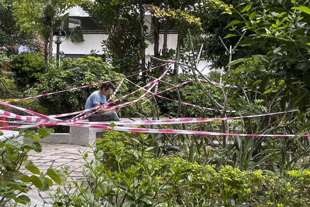 疫情似网,我们都如网中人。