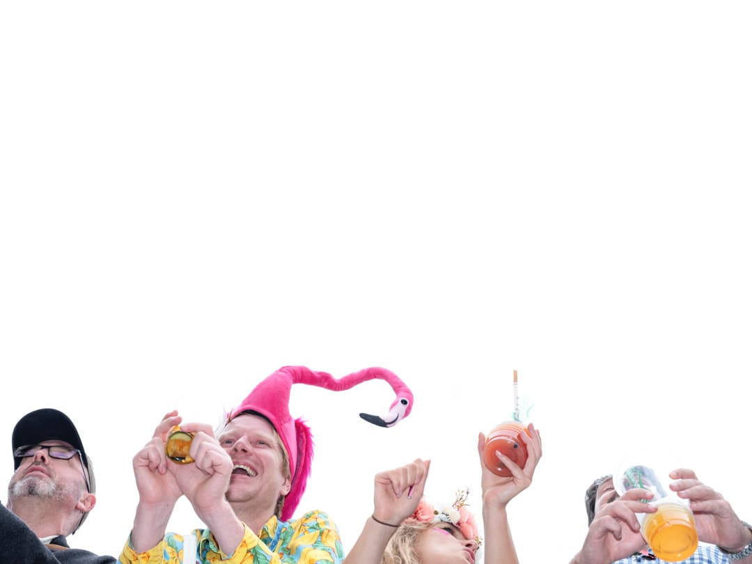 香港国际七人榄球赛的观众。