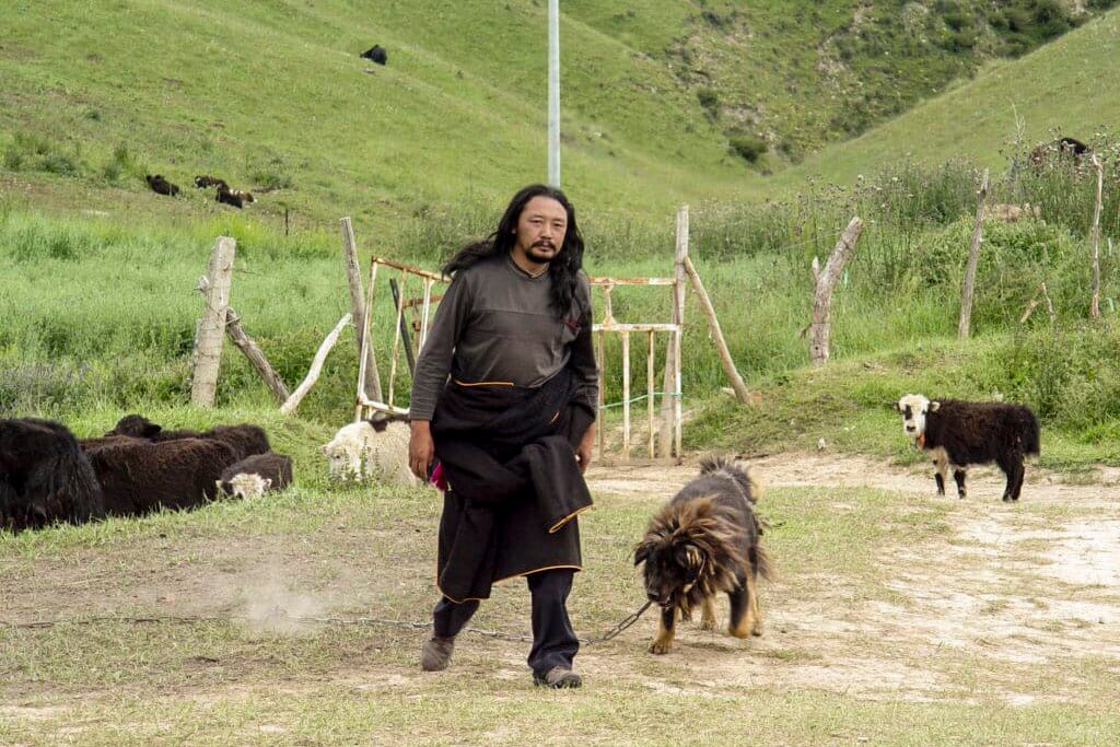 《老狗》（2011）劇照。