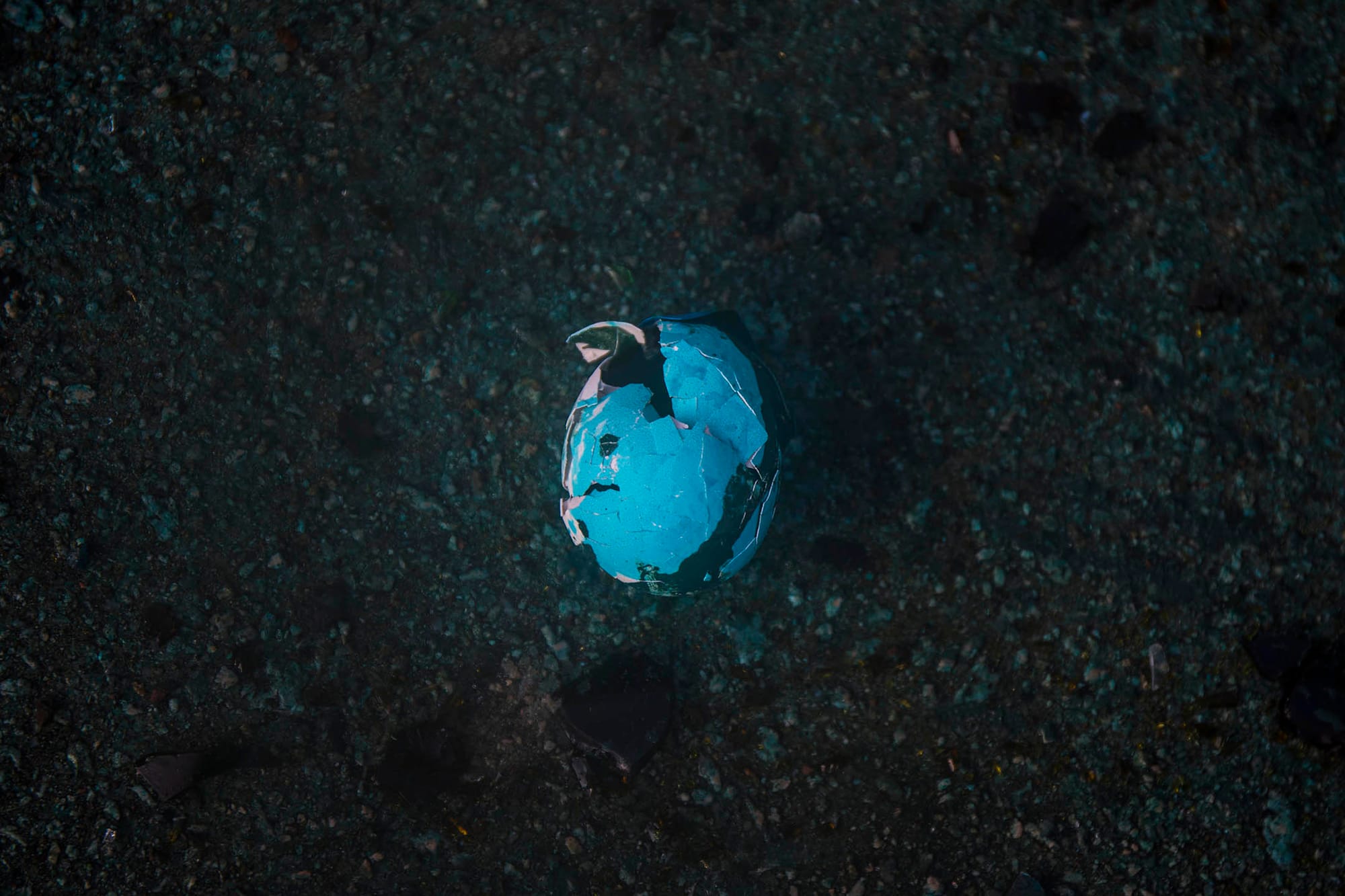 2019年11月17日香港 ，示威者占领 香港理工大学，堵塞了红磡海底隧道，警方出动水炮车驱散路面的示威者，一只破烂的鸡蛋被水炮车的蓝色液体染色。摄：陈焯𪸩/端传媒